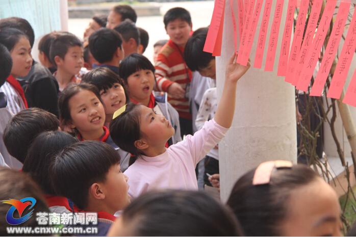 苍南图书馆理事会:我县文化事业单位改革新探