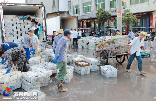 开渔第一网满载而归 - 苍南新闻网