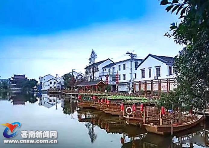 10 条苍南"最美河道",有你家附近的吗?