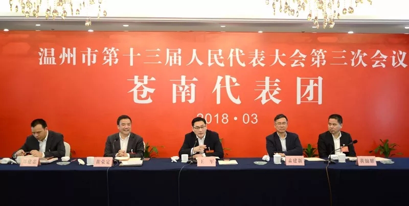 苍南代表团审议市人大常委会和两院工作报告