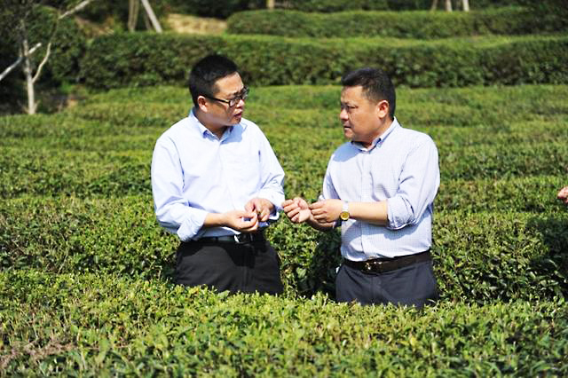 苍南农商行:扎根县域 链接农户 服务三农不动摇