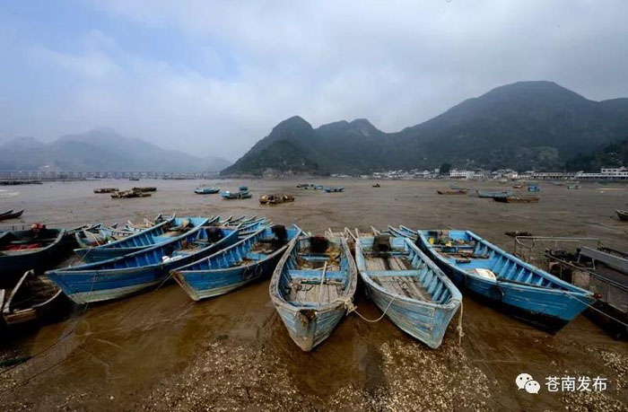 见证历史渔村向滨海特色小镇蝶变