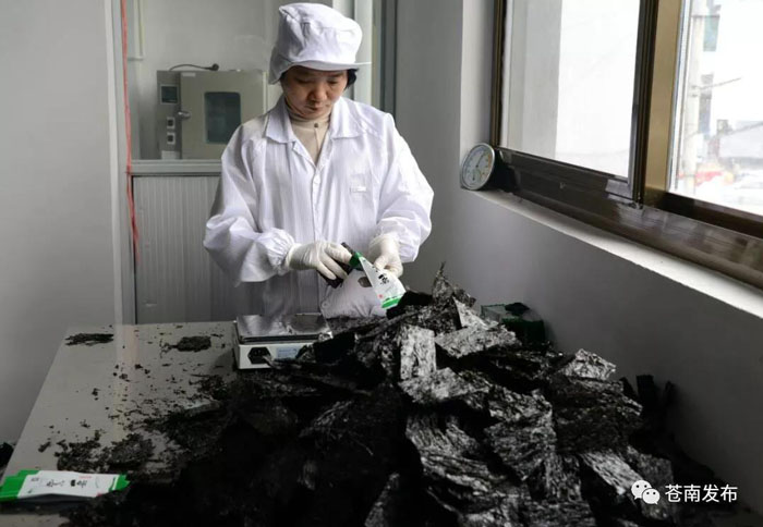 见证历史渔村向滨海特色小镇蝶变
