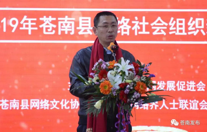 见证历史渔村向滨海特色小镇蝶变