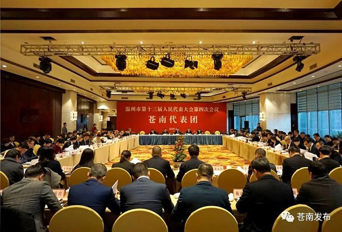 苍南代表团讨论审议市政府工作报告:在高质量