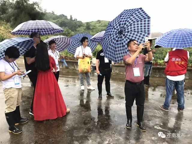 洞察"风云变幻" 传递"阴晴冷暖"——"新媒体看苍南"走进气象