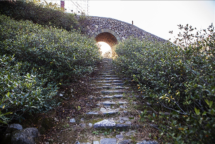 时光深处的闽越国