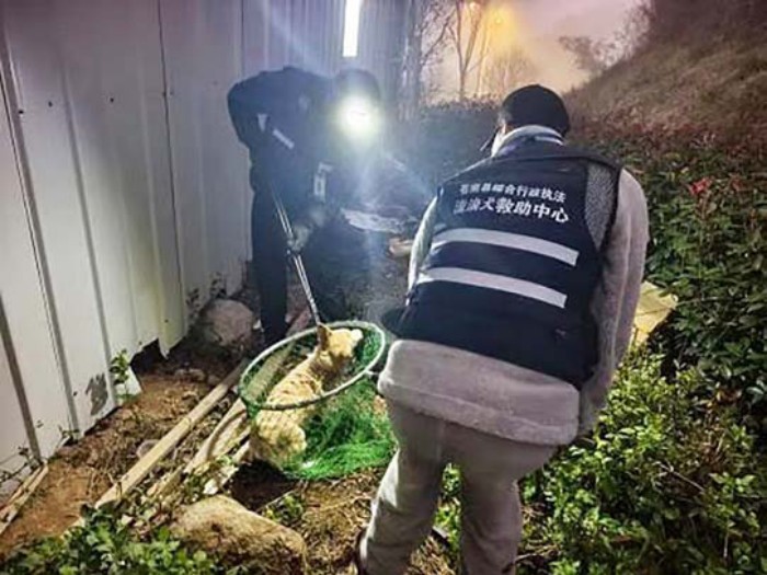 ����Ȯ���ư���