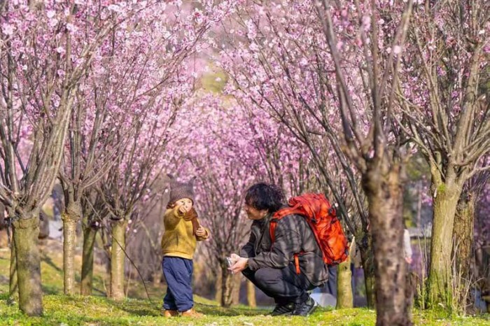 ��ɫ�����ز�ס