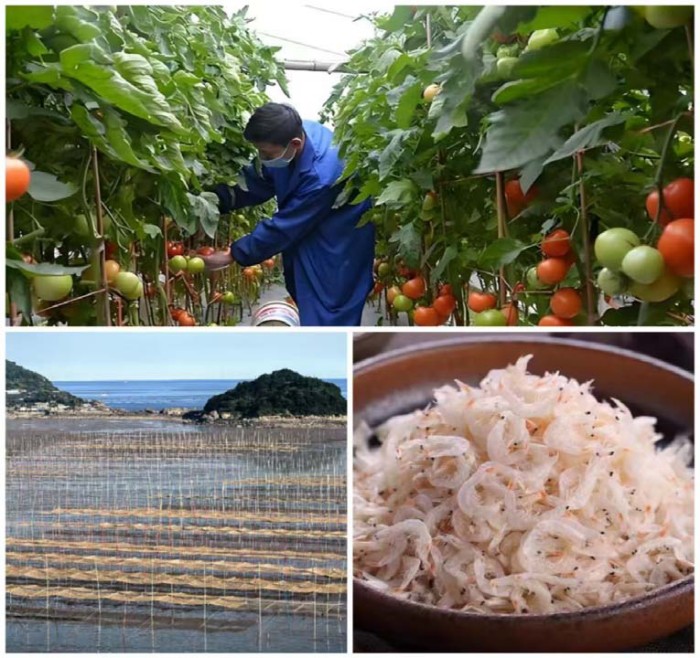 ��׼�걨ǿ���� ȫ�����ʴٹ��� ����ȫ���ƽ�10��Ԫ�����ز�����ҵȫ������֧���걨