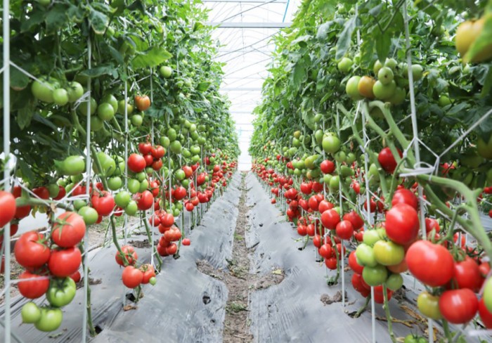 ����6�죡 314��������Ʒ�־۲ԡ����ޡ�