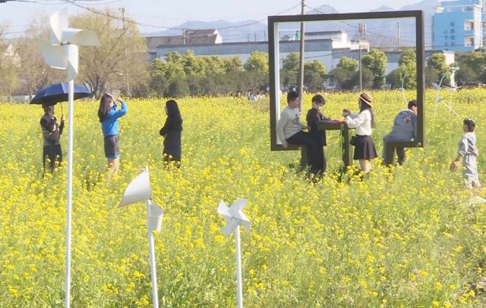 �Ͳ˻���������