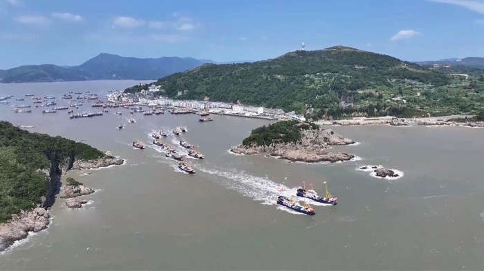 千帆竞发喜争“鲜”
